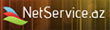 “Net Service”